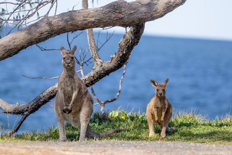 Australia-11