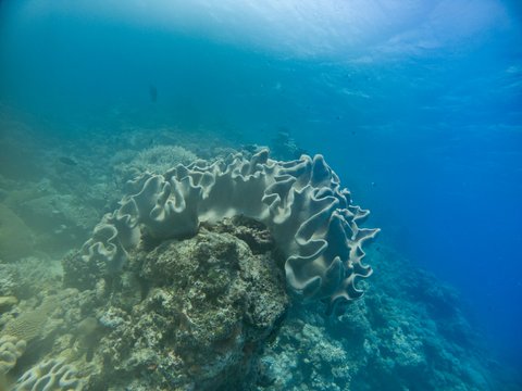 Australia GBR-3-2