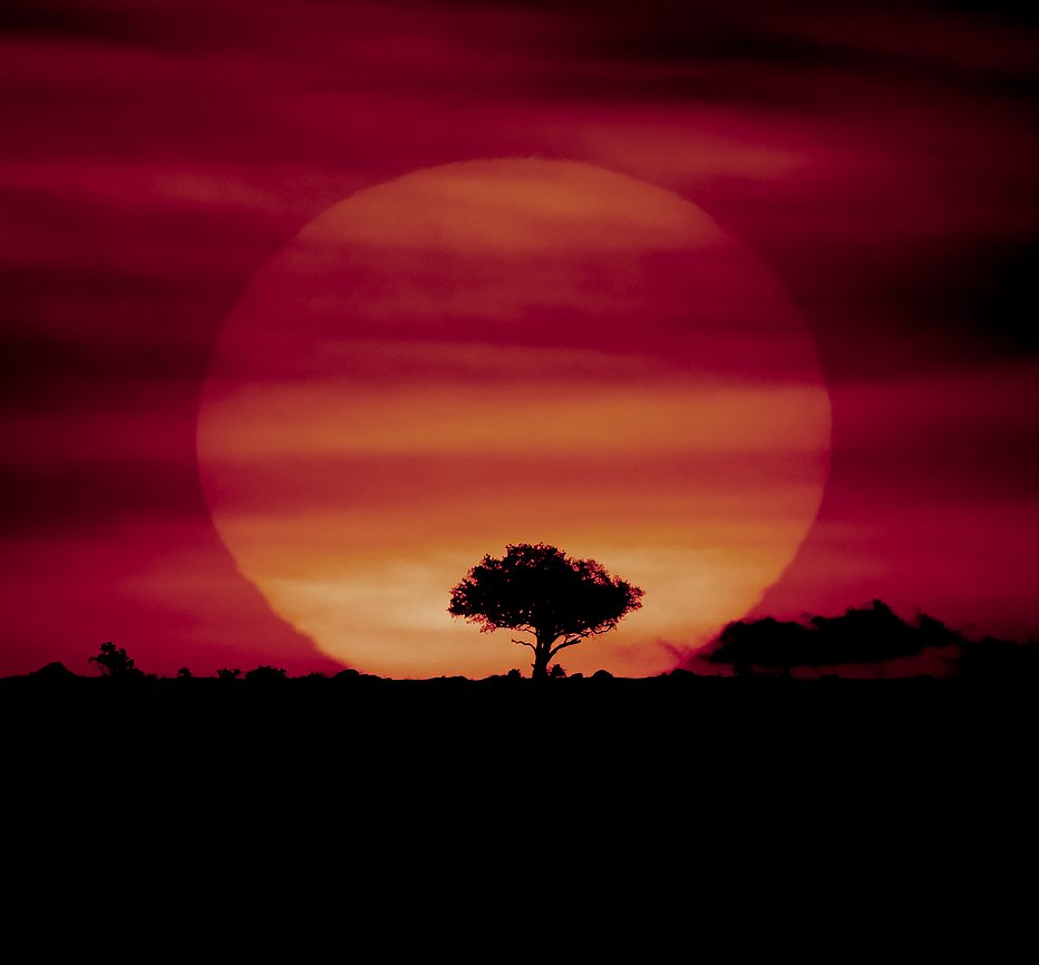 African Sunset dark